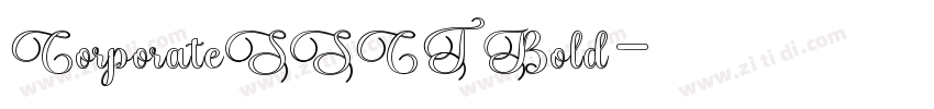 CorporateSSCT Bold字体转换